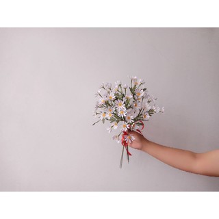 [GIẢM GIÁ] 20 Nhị Lông 1.5cm