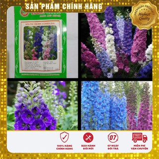 Hạt Giống Hoa Phi Yến mix LUCKY SEEDS