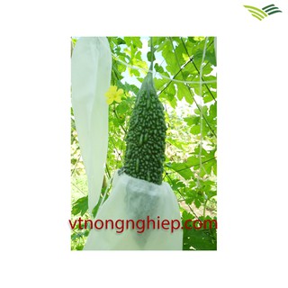 100TÚIBỌCTRÁICÂY15x30cm