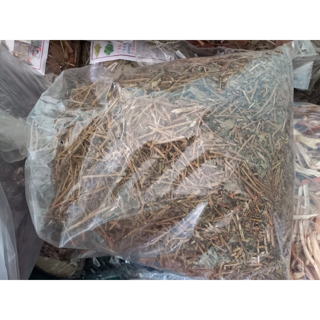 Cà gai leo khô 1kg