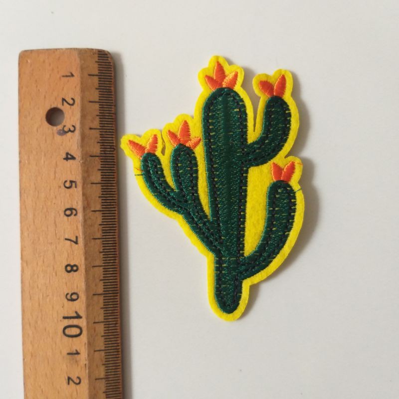 Hình ủi xương rồng mini trang trí