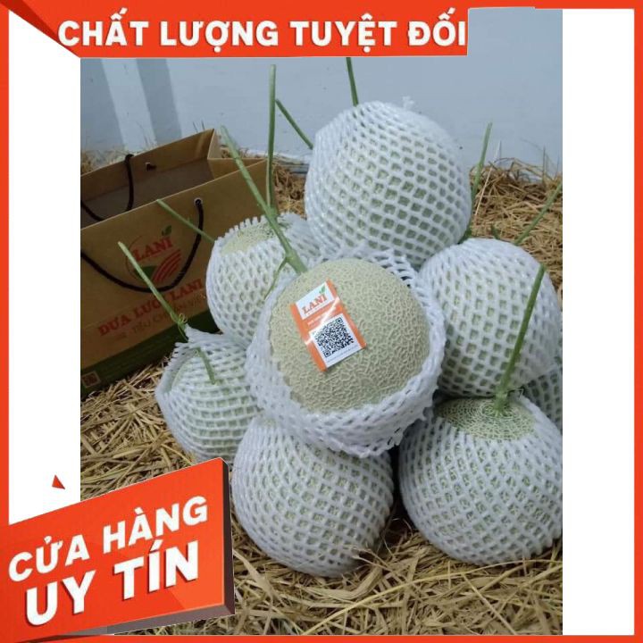 xốp bao dưa lưới 100 túi 💥G̶I̶Ả̶M̶ ̶G̶I̶Á̶ ̶S̶Ố̶C̶💥Xốp lưới bao trái cây tránh dập nát khi vận chuyển