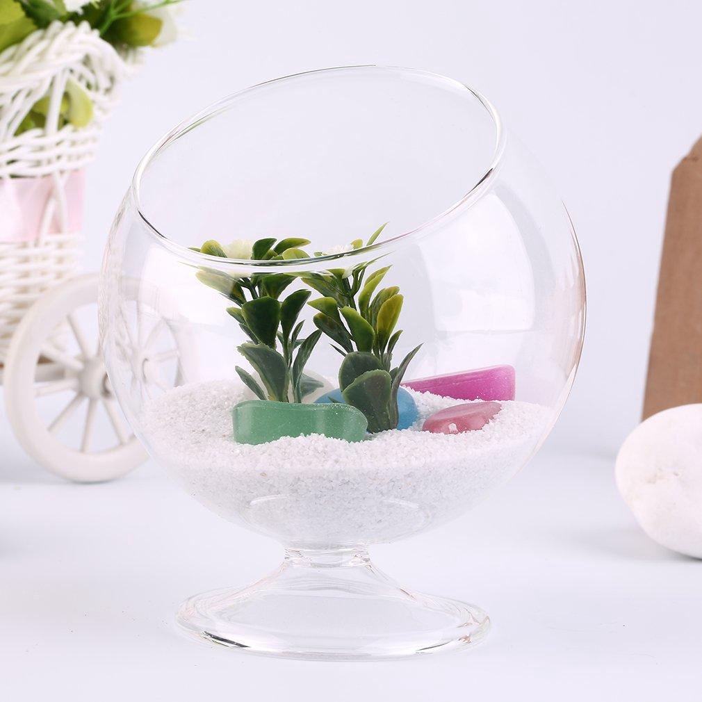 Bể Cá Thủy Tinh Hình Tròn Trang Trí Nội Thất