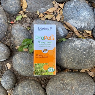 Xịt Thông Mũi Hữu Cơ Từ Keo Ong Ladrôme ProPolis 30ml