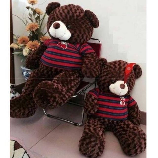 GẤU TEDDY 80cm- 1m