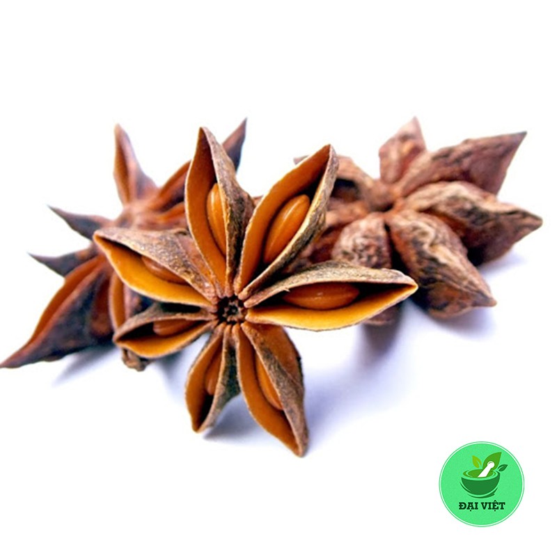 Đại hồi [0.5KG] - DV289