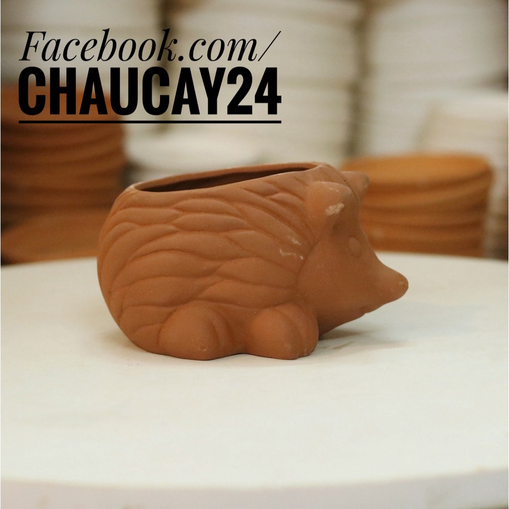 Chậu đất nung trồng cây hoa kiểng, sen đá, xương rông, cây may mắn, cây mini hình thú