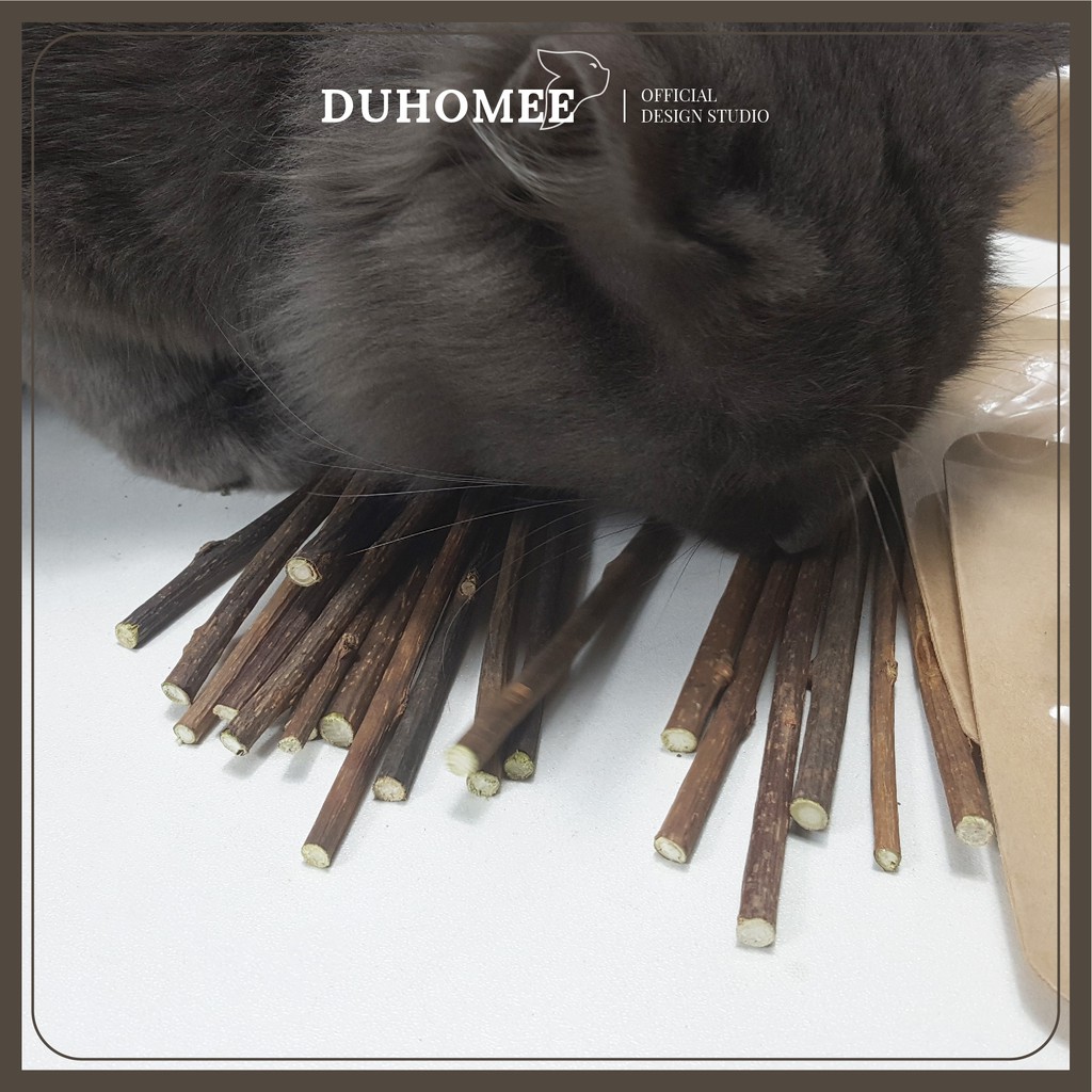 Combo 3-5 que catnip phê pha cho mèo - Catca