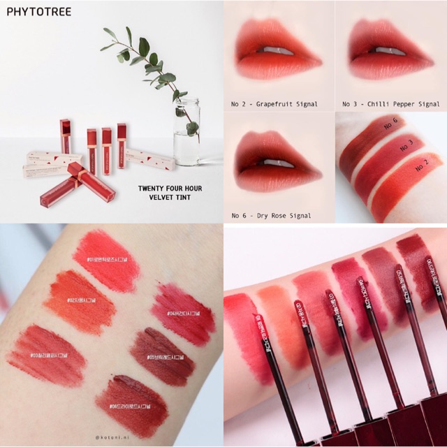 SON KEM PHYTOTREE TWENTY FOUR HOUR VELVET TINT | BigBuy360 - bigbuy360.vn