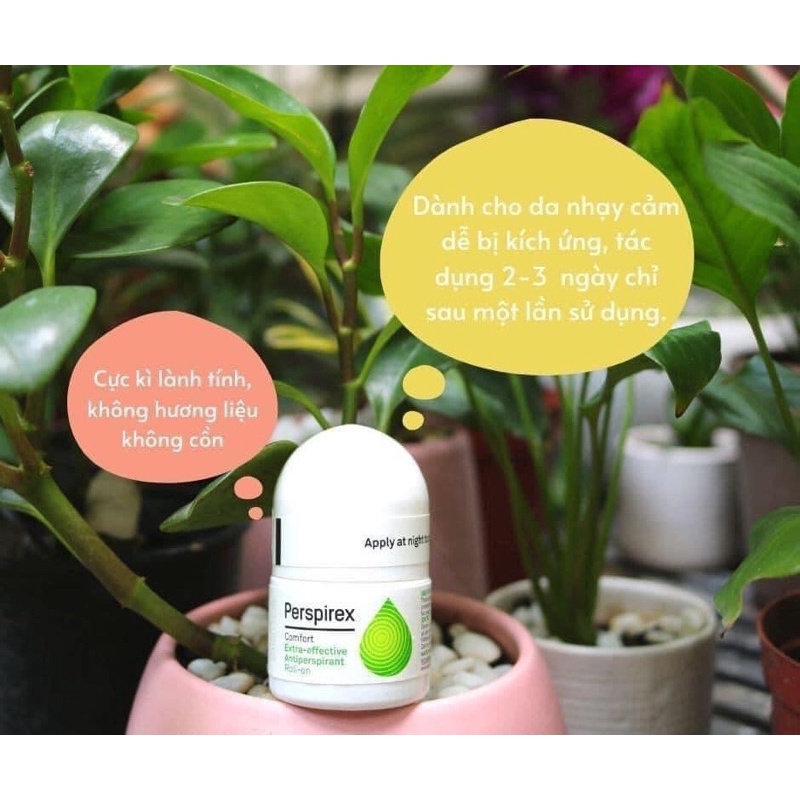 LĂN NÁCH PERSPIRES