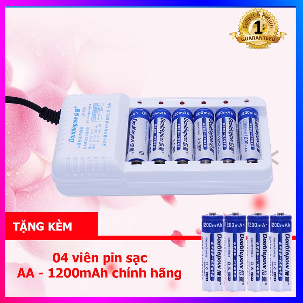 Combo Sạc pin 6 cổng, sạc AA, AAA chất lượng cao DP-B06 - DoublePow + tặng kèm 04 viên pin AA 1200mAh