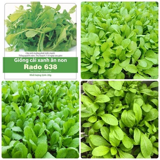 Hạt giống Cải xanh ăn non gói 20gr