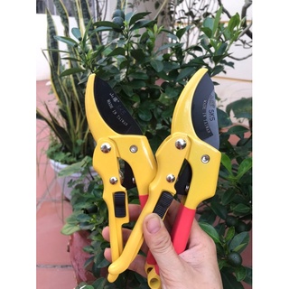 Kéo cắt cành cộng lực -cắt mọi cành to