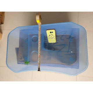 Hồ nuôi Rùa bán cạn big Size