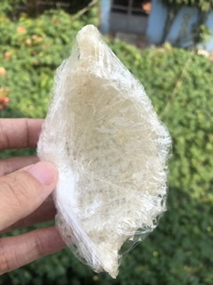 50g Yến tinh chế nhiều sợi + 🎁