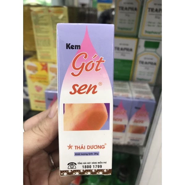 KEM GÓT SEN THÁI DƯƠNG