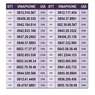 Sim số đẹp vinaphone