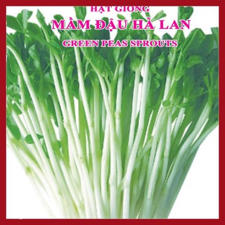 Hạt giống Rau Mầm Đậu Hà Lan (50g)