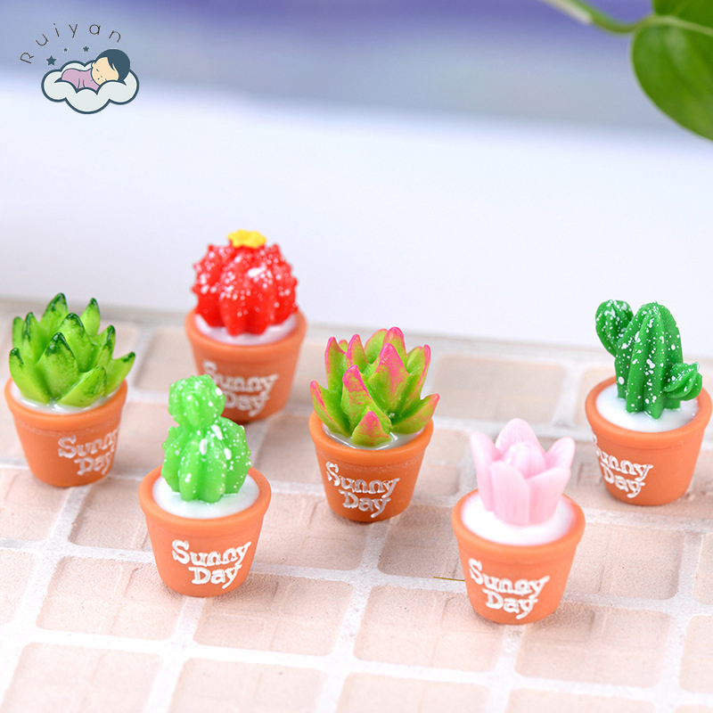 Chậu cây xương rồng mini bằng nhựa thiết kế tinh tế dùng trang trí tiểu cảnh