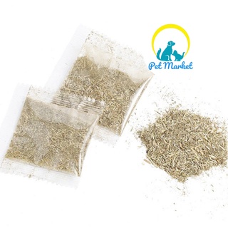 Cỏ catnip cho mèo ngửi giảm stress