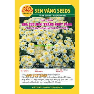 Hạt giống Hoa Cúc mini Trắng nhuỵ vàng Gói 0.2G