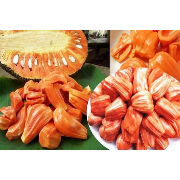 MÍT THÁI LAN RUỘT ĐỎ