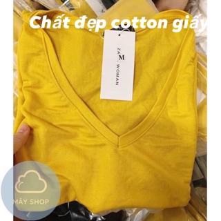 [VIDEO HÌNH THẬT] Áo phông cổ tim cotton giấy