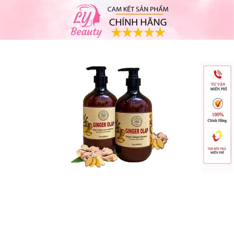 Cặp Gội Xả Gừng GiNGER OLAP, Hết Rụng Tóc, Hết Ngứa, Giúp Tóc Chắc Khoẻ, Chính Hãng Hàn Quốc