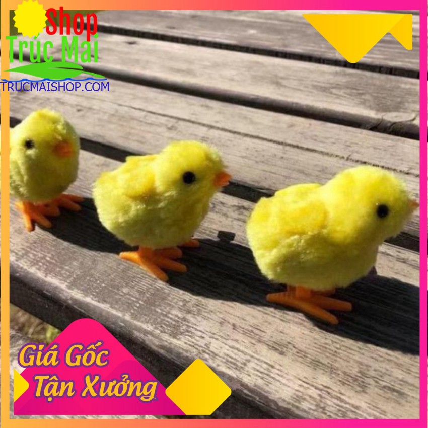 Combo Set 5 Chú gà con chạy cót - Đàn gà con lông vàng ✅Hàng Loại giá tận xưởng