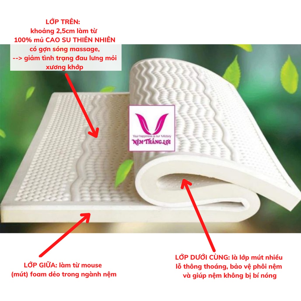 Nệm Cao Su Đàn Hồi ROSI MASSAGE Thắng Lợi Thiên Nhiên Cao Cấp Đủ Size Từ 1m2 Đến 2m Giúp Bạn Có 1 Giấc Ngủ Ngon