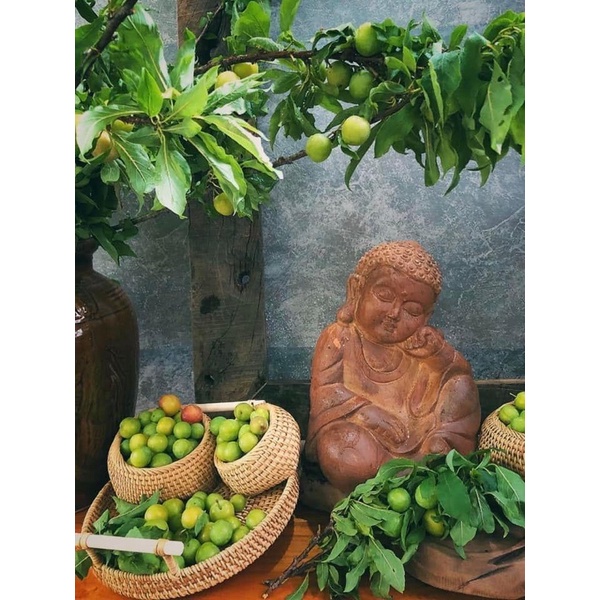 Hũ mây dùng để đựng bánh kẹo có tách lẻ size, các loại hạt để bàn