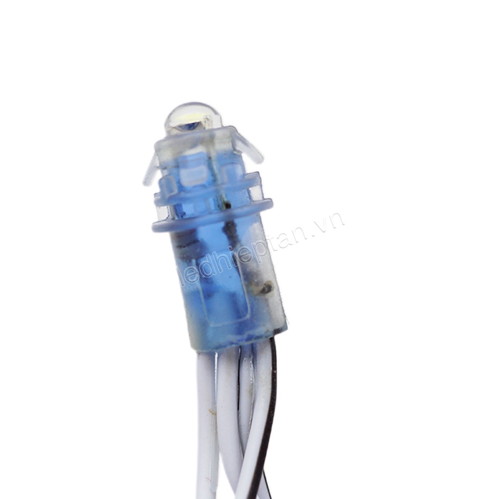 Trang Trí LED F5 5v TRẮNG - 1 Dây 50 Bóng LED