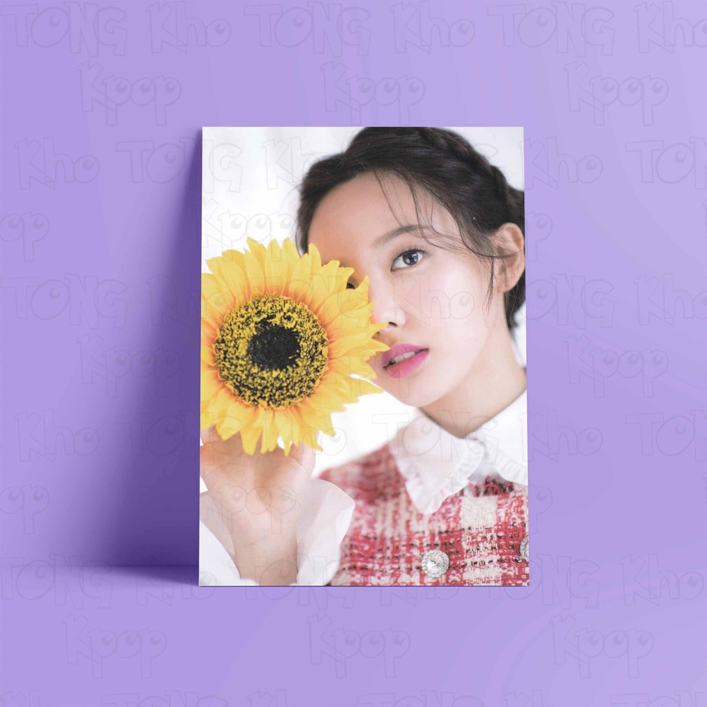 Tấm Postcard cao cấp giấy 260gsm in hình TWICE ver PTB 2 idol Kpop  ảnh đẹp nhiều mẫu