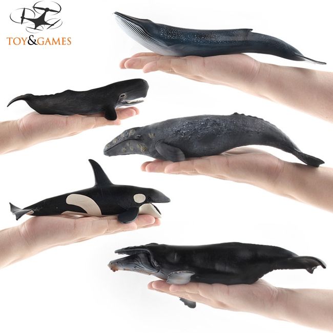 Mô hình chú cá voi đồ chơi cho bé Mô phỏng động vật biển cá voi mô hình đồ chơi đồ trang trí