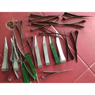 Nhíp nhổ lông vịt, gà