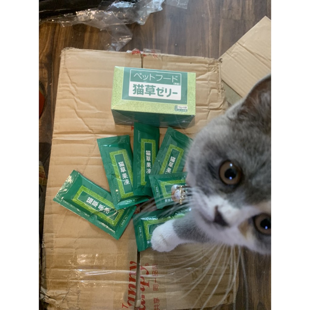 Súp Cỏ Catnip Bài Trừ Búi Lông Trong Dạ Dày Mèo Đẩy Lông Vón Cục Vị Cá Ngừ,Cá Ngừ Vằn