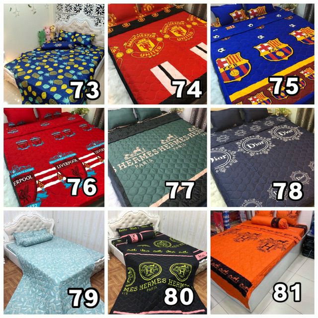 Bộ ga chun chăn chần hè kèm 2 vỏ gối nằm và 1 vỏ gối ôm cotton poly | BigBuy360 - bigbuy360.vn