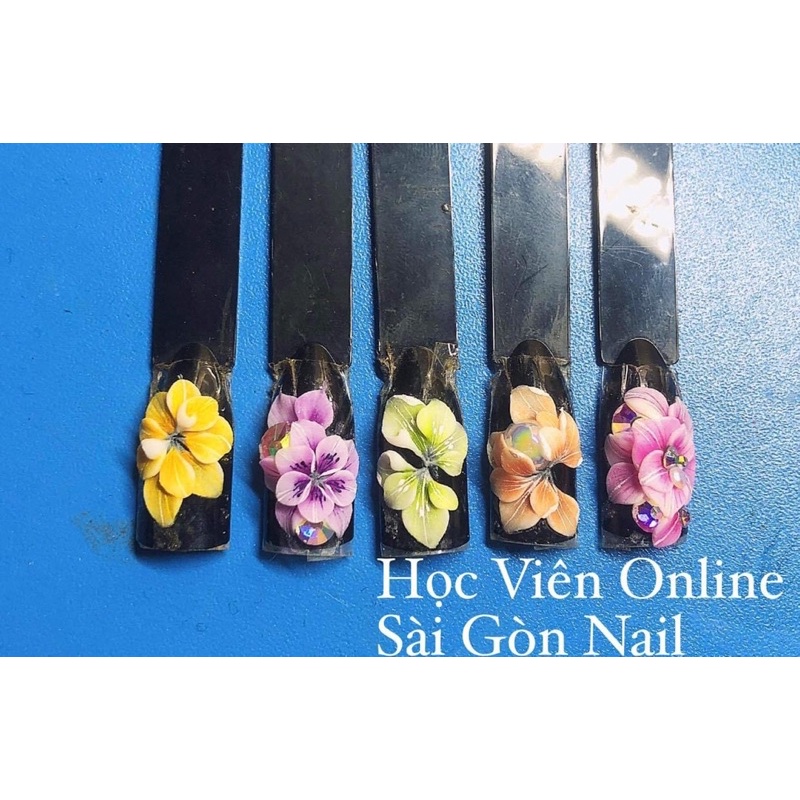 Bột màu Mỹ- đắp móng- nặn hoa- Ombre mã 1301-1325