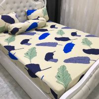 Ga chống thấm cotton Su Su