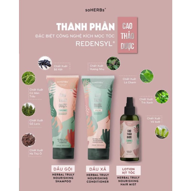 𝐂𝐨𝐦𝐛𝐨 𝐠𝐨̣̂𝐢 𝐱𝐚̉ & 𝐱𝐢̣𝐭 𝐭𝐨́𝐜 𝐂𝐚𝐨 𝐓𝐡𝐚̉𝐨 𝐃𝐮̛𝐨̛̣𝐜 𝐒𝐨𝐡𝐞𝐫𝐛𝐬