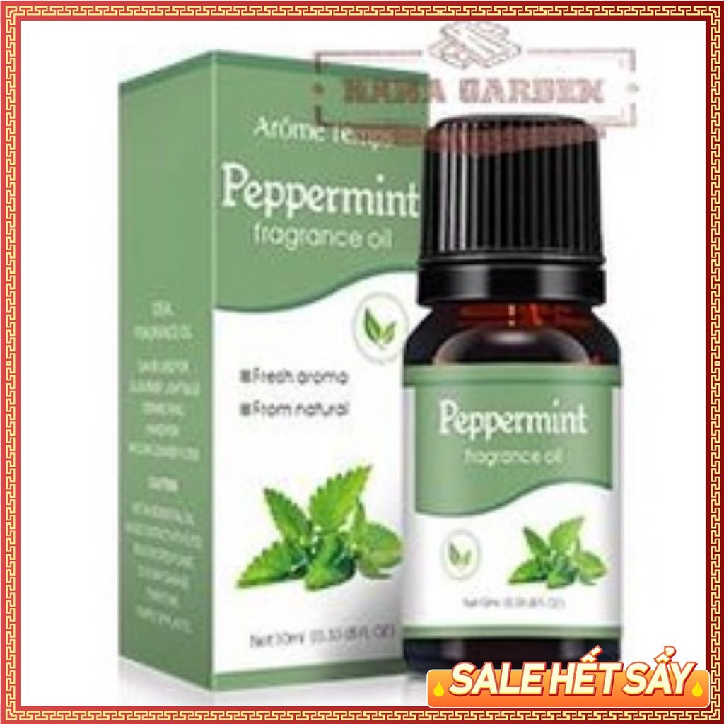 Tinh dầu Bạc Hà | Peppermint Oil |SALE HOT Tinh dầu thiên nhiên Nhập khẩu 10ml