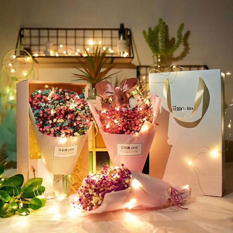 Dây đèn LED 1m 10 bóng kèm pin trang trí lễ Giáng Sinh