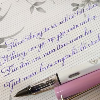 Set 20 bút 369, 30 bút 368+ 30 bút thiên nga cá mập, và 30 ngòi thay thế
