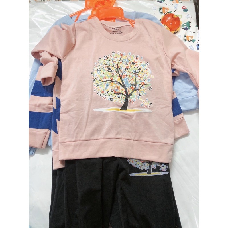 Bộ Cotton da cá bé gái size 16-25kg (nhiều mẫu)