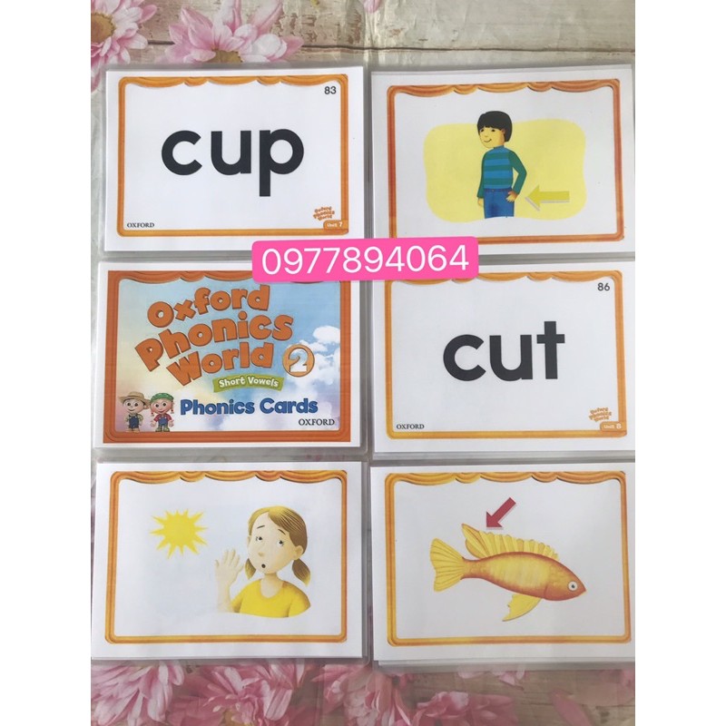 Flashcards Oxford Phonics World 2- Thẻ size A5 ép plastics bền đẹp☘️giáo cụ đồ dùng dạy học Tiếng Anh❤️