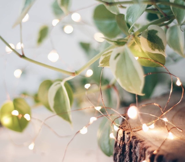 SÁNG VÀNG - Đèn led đom đóm/ fairy light 5m 10m pin AA USB