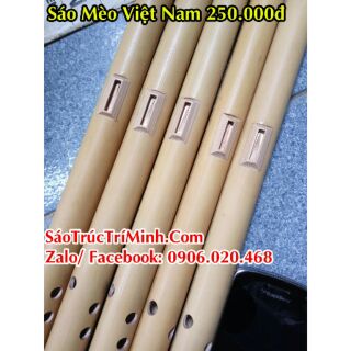 Sáo Mèo Việt chuẩn âm Nhạc viện. Bảo hành 1 năm || Shop Cao Trí Minh