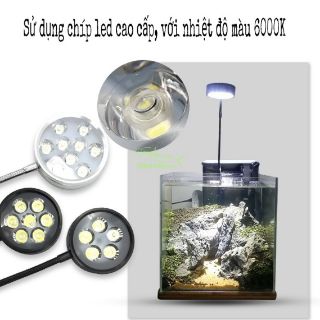 ĐÈN LED ÁNH SÁNG TRẮNG VÀ CHÂN ĐẾ GỖ CHO BỂ CÁ CẢNH VÀ TIỂU CẢNH