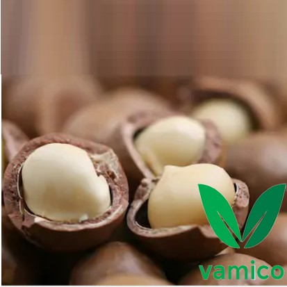 [Mã GROSALE2703 giảm 8% đơn 250K] Thanh An Macca Sạch Size Trung 500gr, Sấy Nứt Vỏ Lâm Đồng, Macadamia Kèm Lẫy