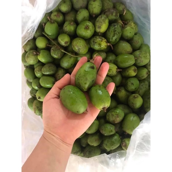 Cóc Bao Tử tươi chua giòn - giao Hỏa Tốc